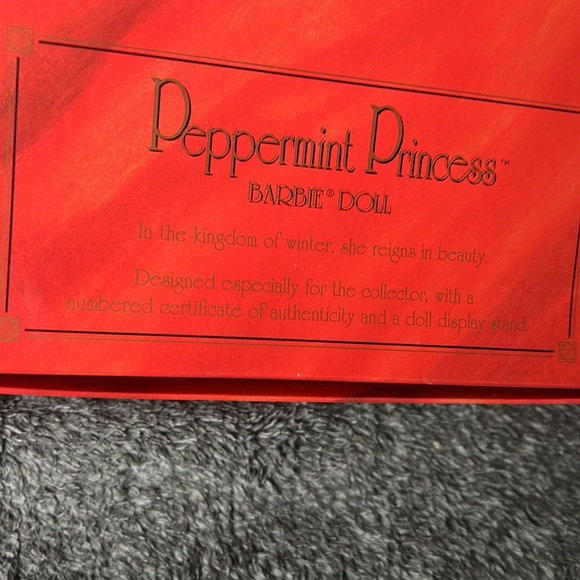1994 Peppermint Princess Barbie Limited Edition The Winter Princess Collection - Picture 12 of 17